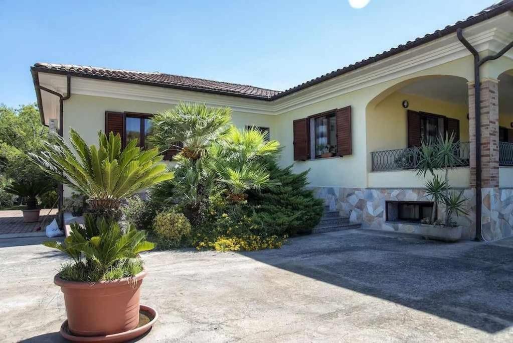 Alghero Villa Mistral Per 7 Persone Terrazza Bbq Ac Wifi Экстерьер фото